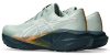 ASICS NOVABLAST 5 TR Férfi futócipő (vegyes talajra)
