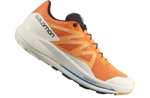 SALOMON PULSAR TRAIL Férfi terep futócipő