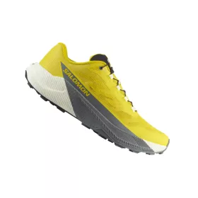 SALOMON PULSAR Férfi terep futócipő
