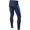 NIKE ELEMENT THERMAL TIGHT férfi téli futónadrág