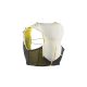 SALOMON ADV SKIN 5 SET futómellény + 2 db 500ml soft flask
