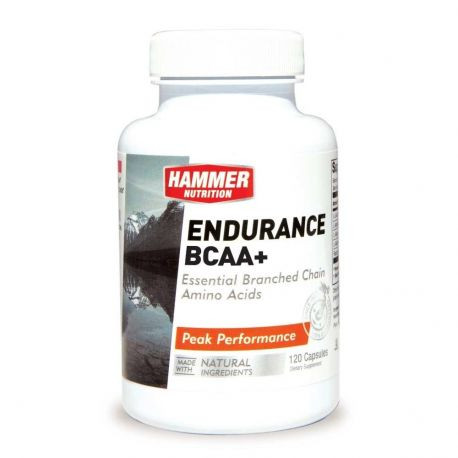 HAMMER ENDURANCE BCAA+ kapszula 120db